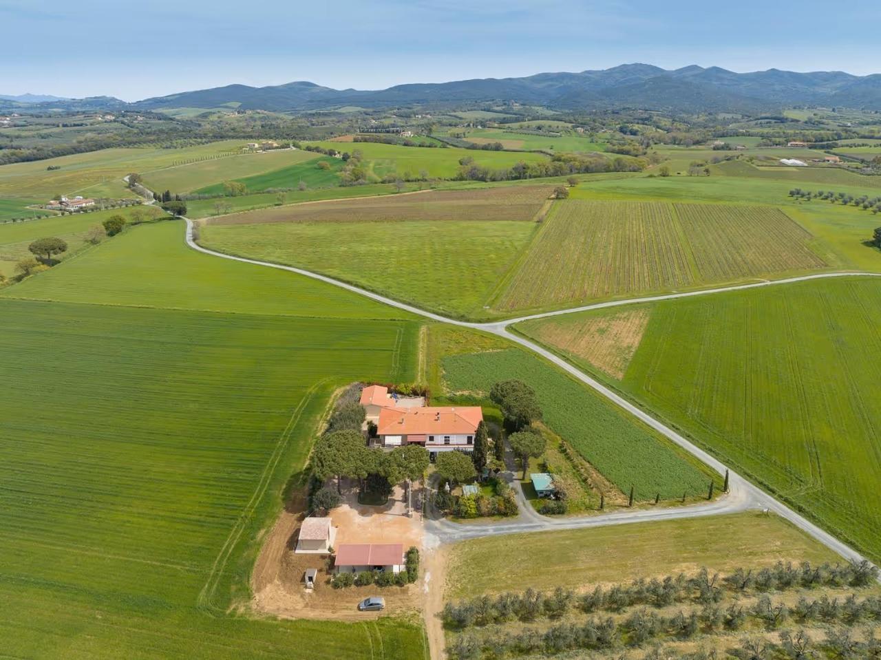 Agriturismo I Debbi Bibbona Exterior foto